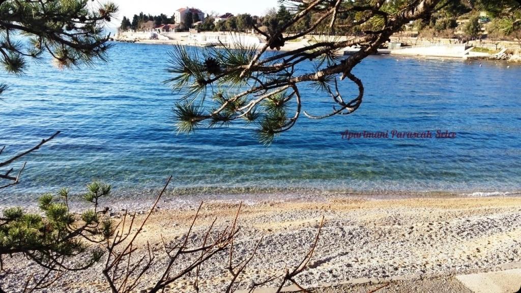 Apartments Adriatic 3 Селце Екстер'єр фото