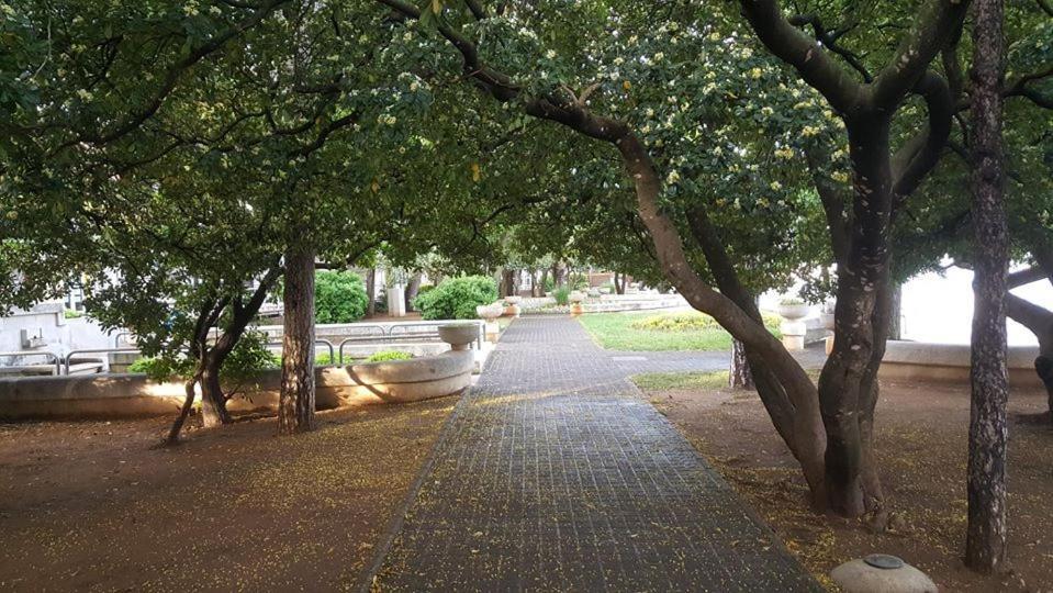 Apartments Adriatic 3 Селце Екстер'єр фото